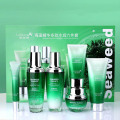 Custom wholesale organic skin care product sets in korea for anti-aging rejuvenation